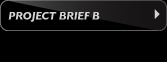 projectbriefb